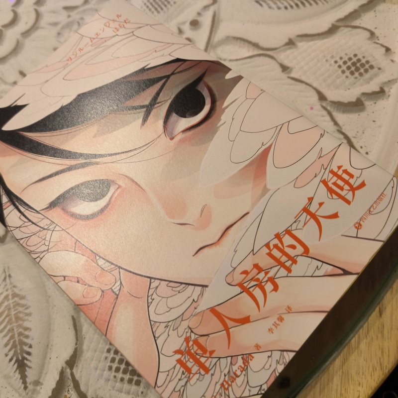 Fumetto originale giapponese d - Japanese Lifestyle Books recensione e prezzo